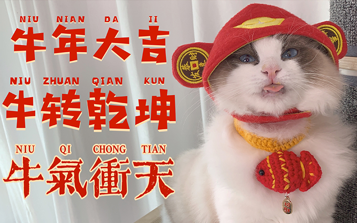 MT蒙彤过年的方式，可以说很local了