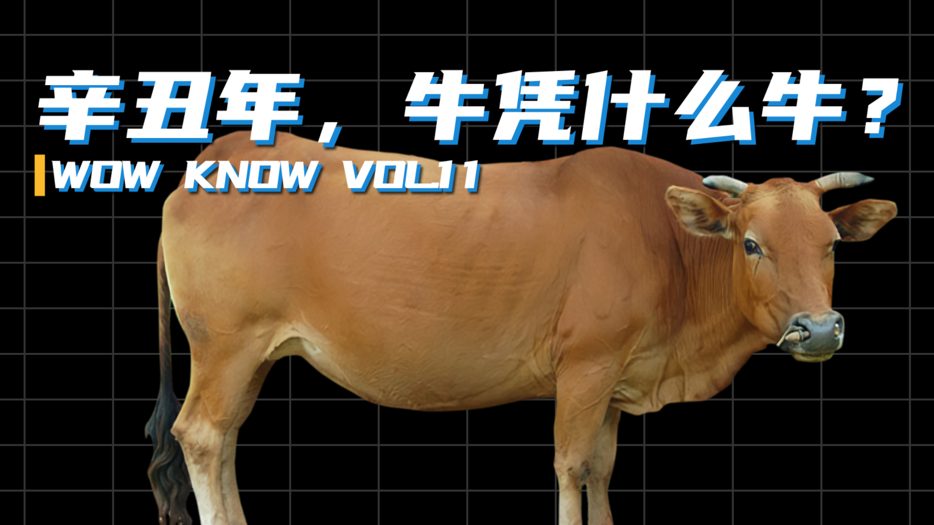 辛丑年，牛憑什么牛？