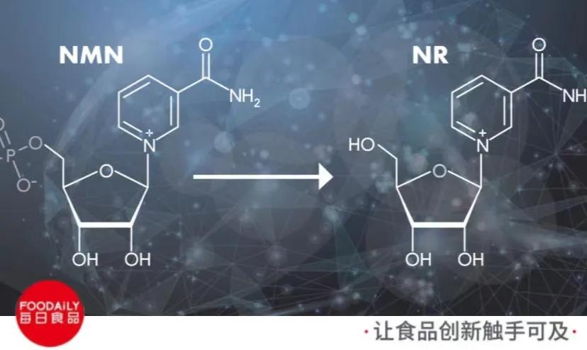 长生不老延年益寿、治疗阿尔茨海默症…被神化了的NMN真有这么玄乎