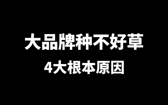 大品牌“种不好草”的4大根本原因