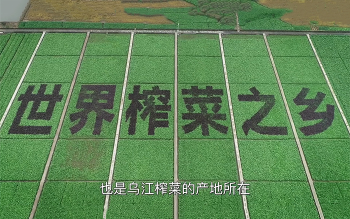 中国国家地理为《乌江》拍纪录片，探索一包榨菜的前世今生