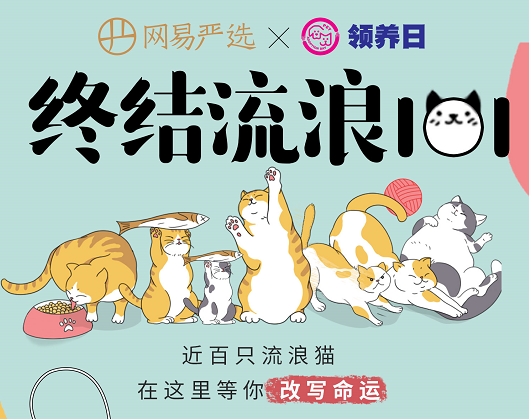 網(wǎng)易嚴(yán)選辦了一場(chǎng)流浪貓101海選：用愛改寫流浪記