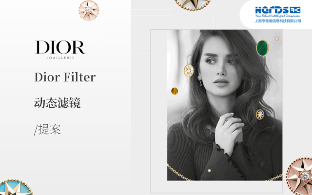 动态滤镜_Dior Filter_提案