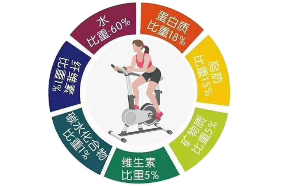 能做到这两点，就基本不用担心肥胖问题了