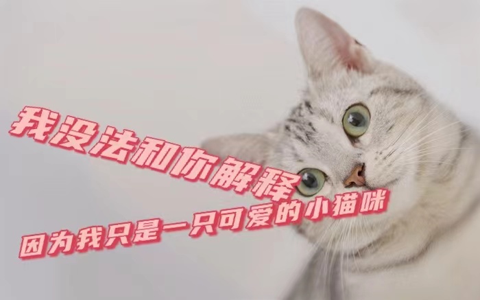 看完这些人间清醒的文案，我的社交恐惧症好了