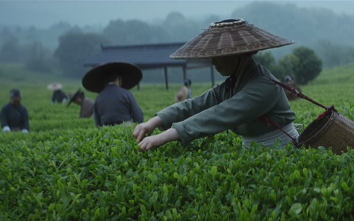 东方树叶10周年：这一次，我们用光影为你捕捉茶香