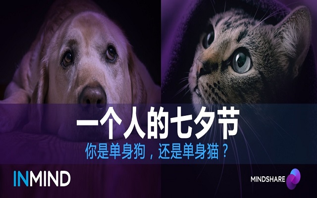 InMind:当代单身傲娇贵族——“单身猫”的崛起