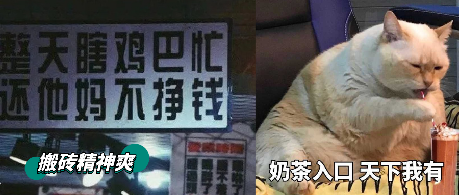 秋天的第一杯奶茶背后，居然是消費主義救贖？