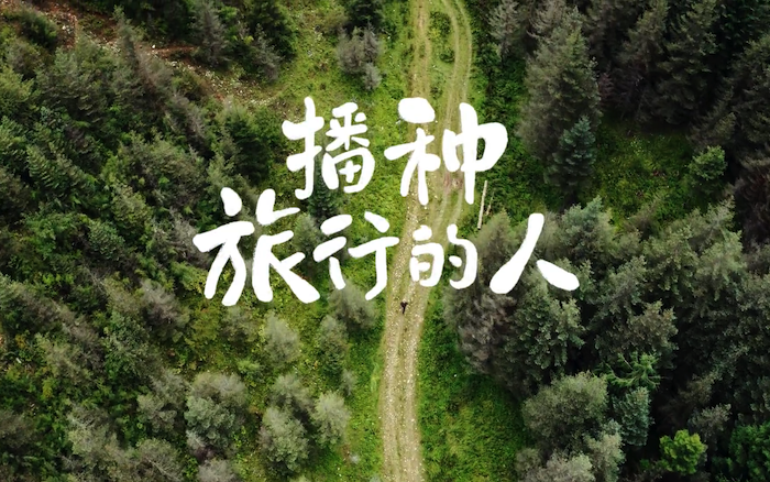 中国旅游集团宣传短片：致敬全国2800万《播种旅行的人》