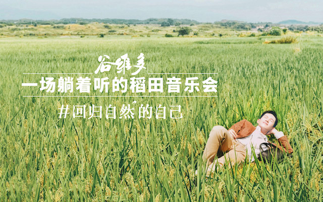 金龙鱼谷维多:一场躺着听的稻田音乐会