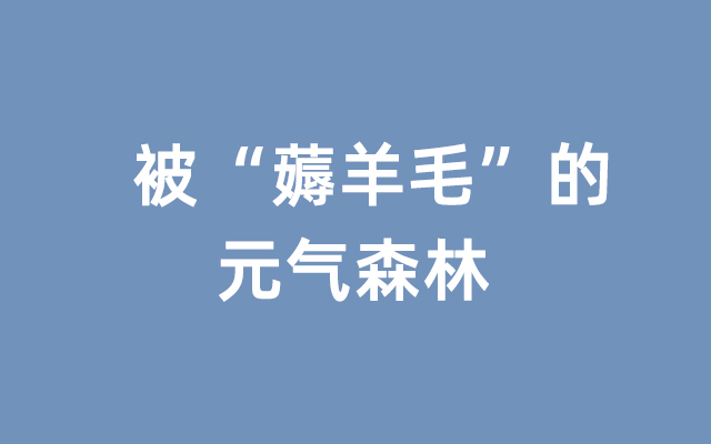 元气森林被“薅羊毛”，最大订单有41000箱