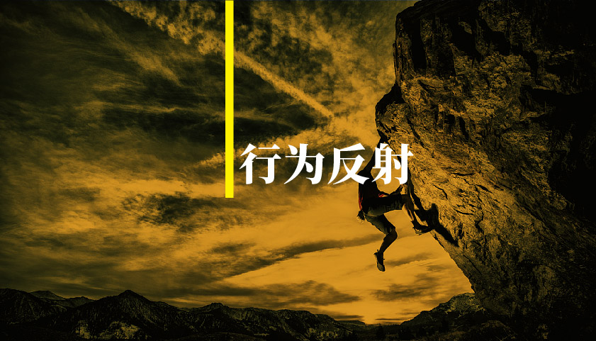 行為反射，盯著轉化率就要品透它