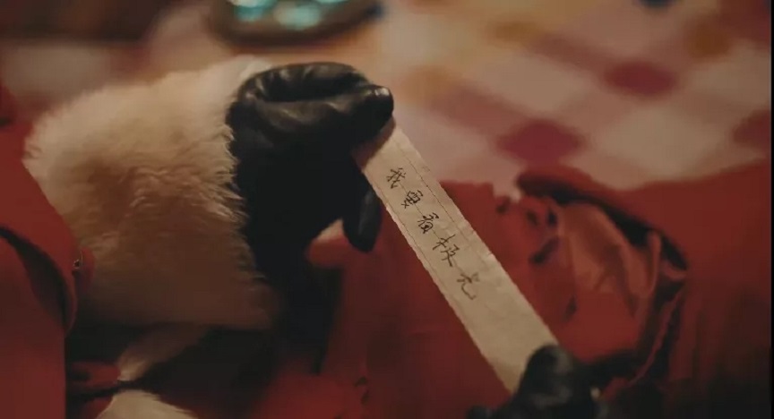 神反转！《啥是佩奇》的导演又来刷屏了！