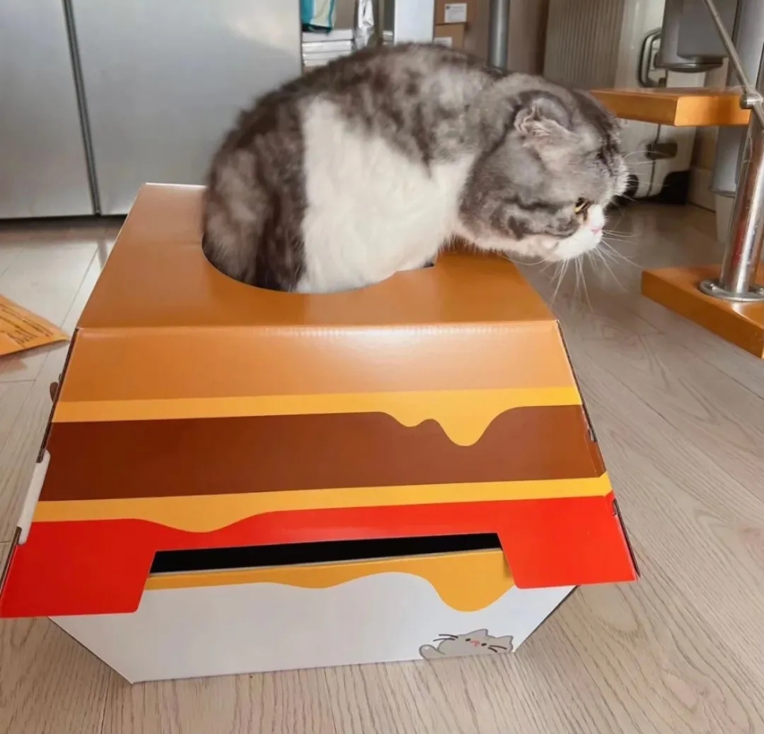 太卷卷卷卷了！麦当劳出猫窝，网友炸了