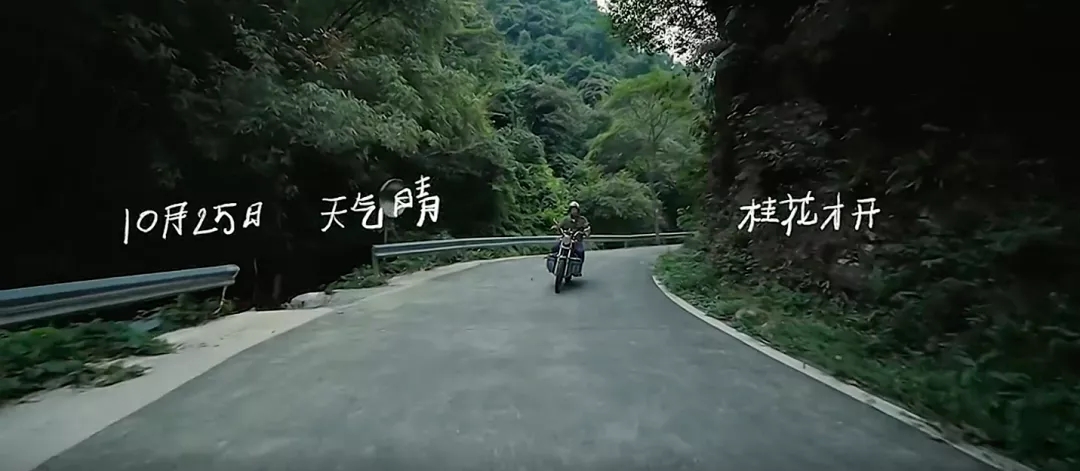 画面感极强！钟薛高秋日营销，玩了波童年回忆杀！