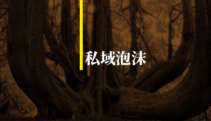 私域，越吹越大的泡沫哪天破