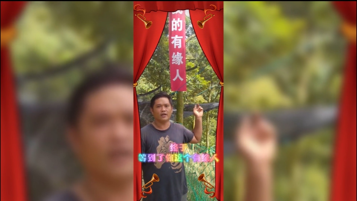 天猫国际送一棵榴莲树，却引发网友评论区P图大赛