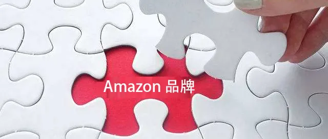 整合大勢來了？類SellerX們，或將改變中國賣家全球化的格局