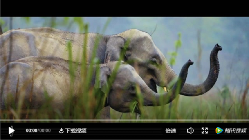 2021最后一天，被聚划算这支跨年交响曲秀到了！