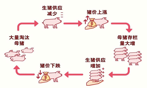 新希望大股东坚定支持主业发展 猪周期拐点或于2022年年中出现