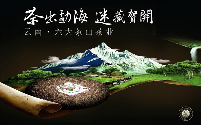 打好品牌运动战，卓朴咨询助力“六大茶山”品牌快速突围
