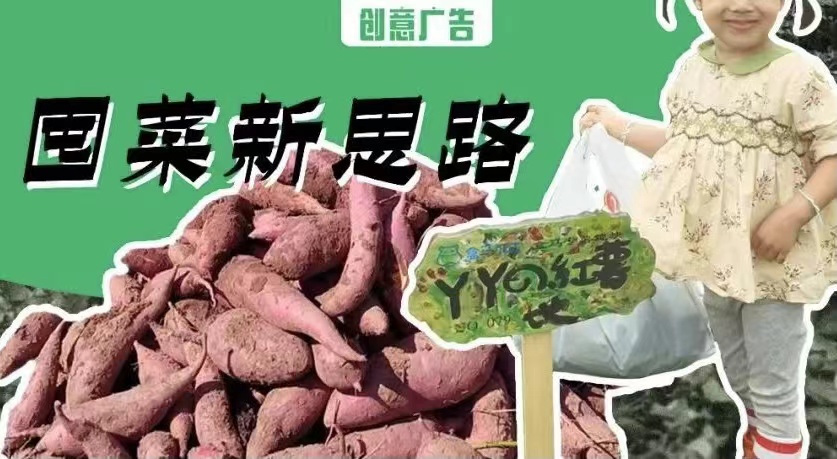 当养成系营销蔓延到品牌届：抢不到红薯就认领一块红薯地？！