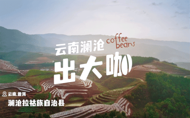 阿里巴巴公益×芭芭农场：澜沧咖啡成功出道，跻身super“大咖”