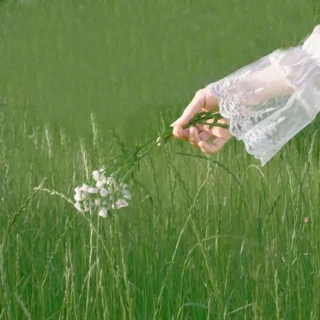 季节限定美好，抓住春日绝美文案的尾巴！