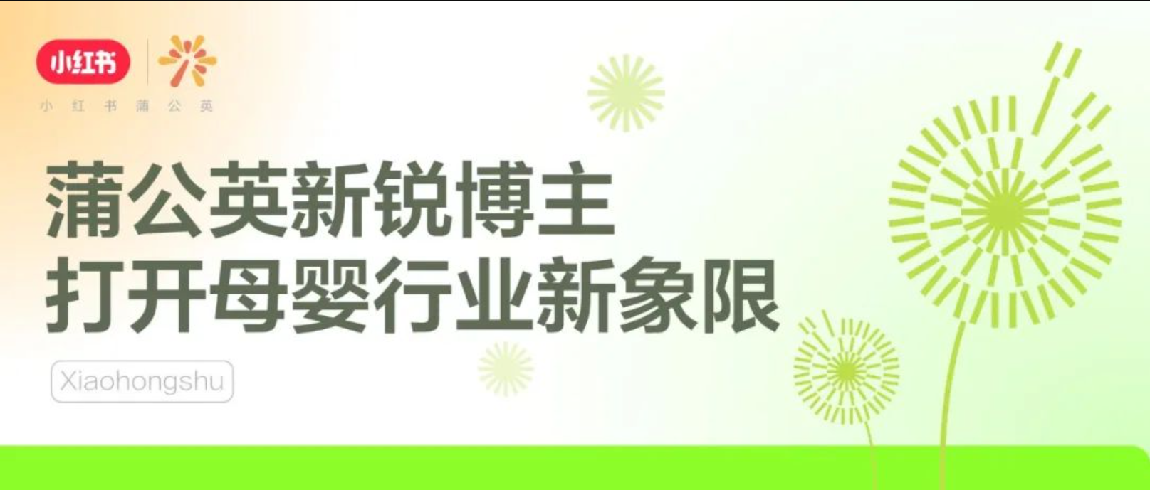 当90、95后成为父母，「新锐博主」打开母婴行业新象限