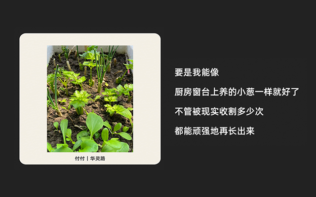 中好：献给上海春天的诗集
