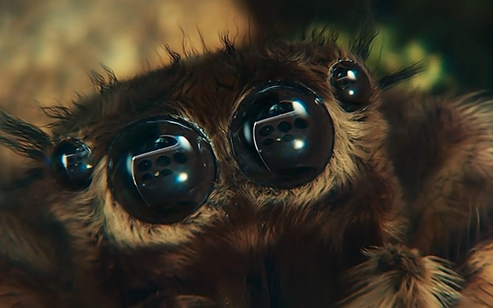 三星手机：蜘蛛看摄像头，对上眼了