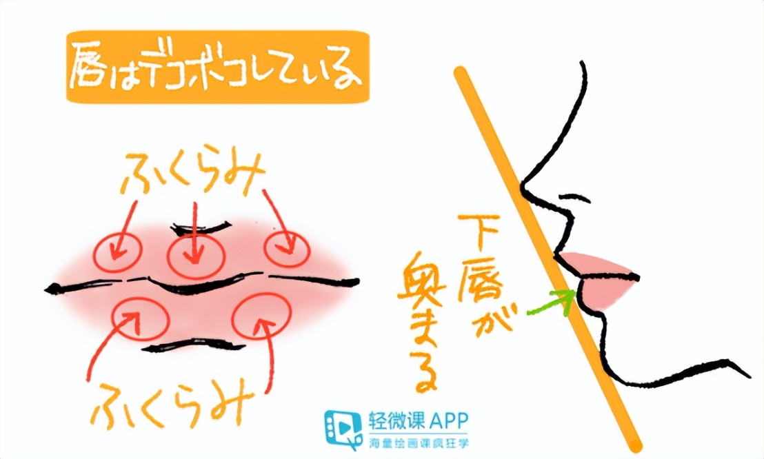 嘴巴該怎么畫？零基礎畫動漫人物嘴巴教程