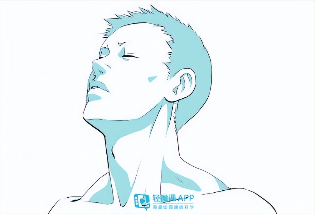 怎樣畫頸部？動漫脖子簡單畫法