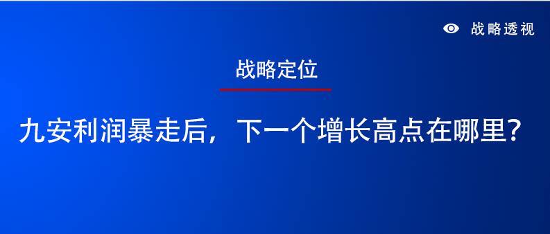 【品牌战略定位】九安利润暴走后，下一个增长高点在哪里？