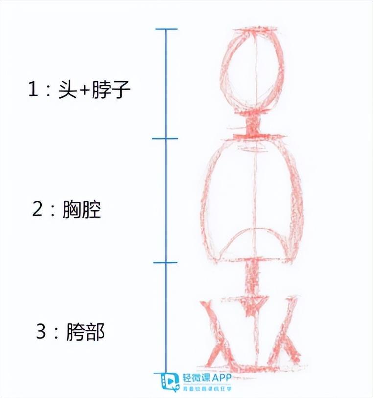 怎樣畫好人體比例？畫人體比例的技巧