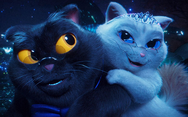 vivo动画：夜拍神器，照亮黑猫的爱情故事