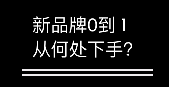 新品牌0到1基础建设（不含市场战略和品牌资产）