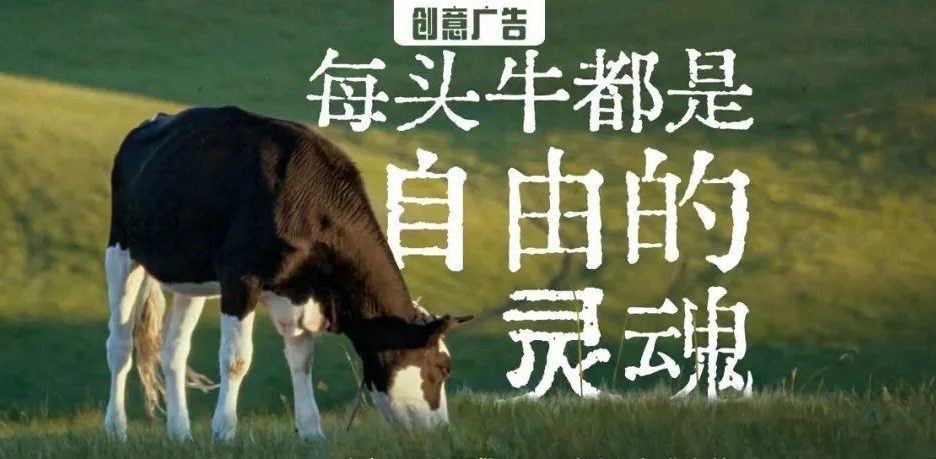 牛奶如何講好產(chǎn)品力？這組廣告真的“好牛”！