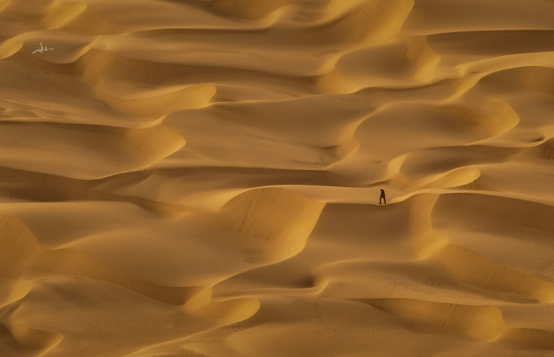 建议互联网大企做这样一个品牌事件，麻烦治愈我一下