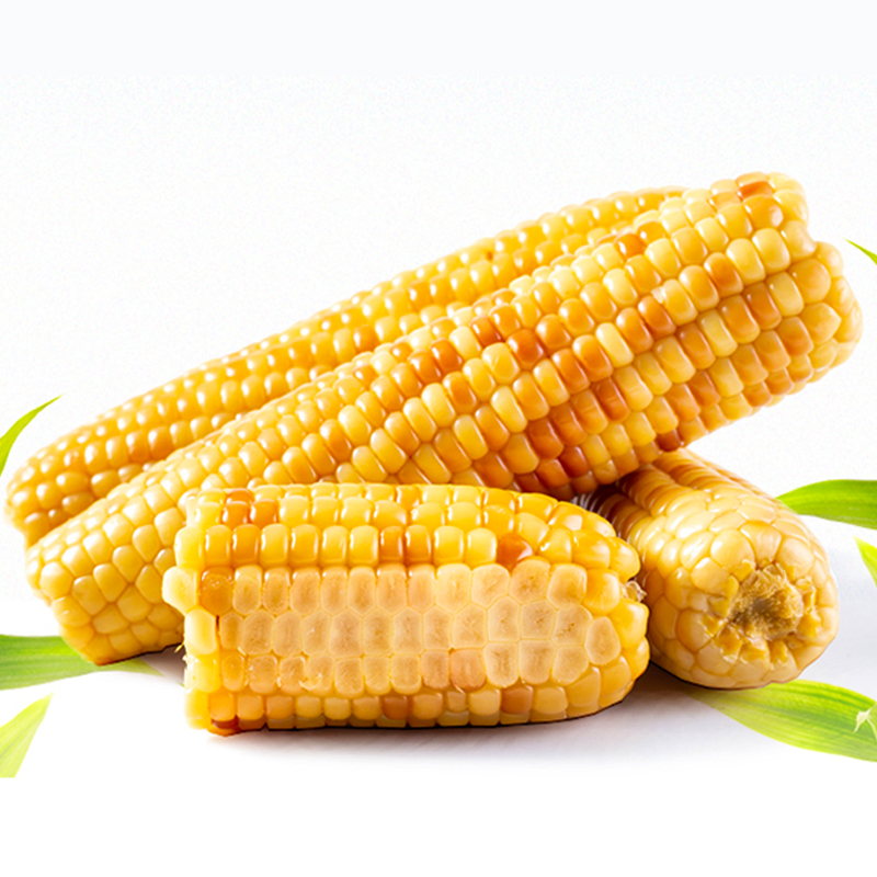  东北粘玉米厂家  