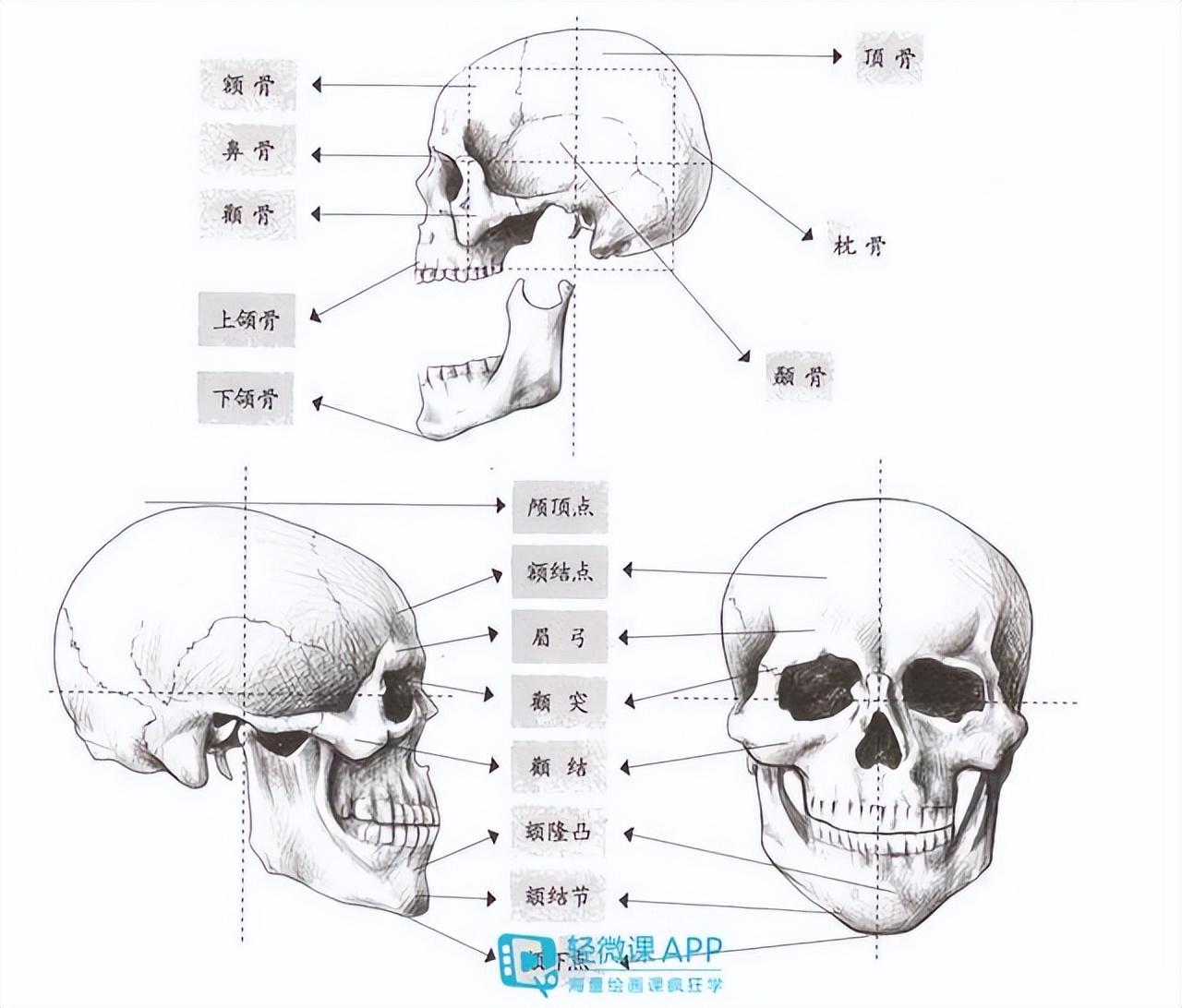 人物脸部五官怎么画？动漫人物五官简单画法