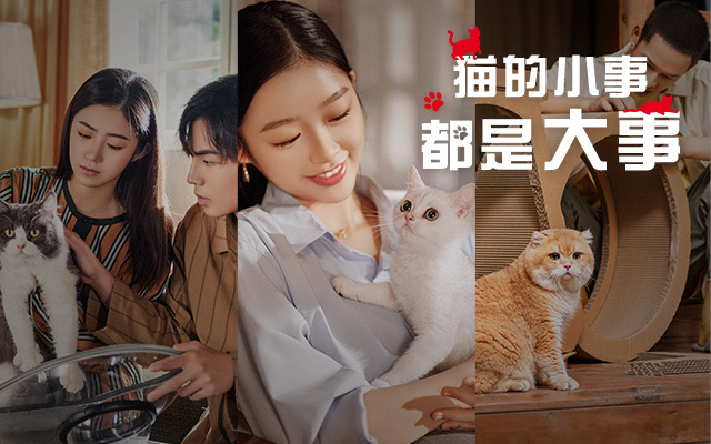 这一次，皇家听见Z世代铲屎官的心声：猫的小事，都是大事