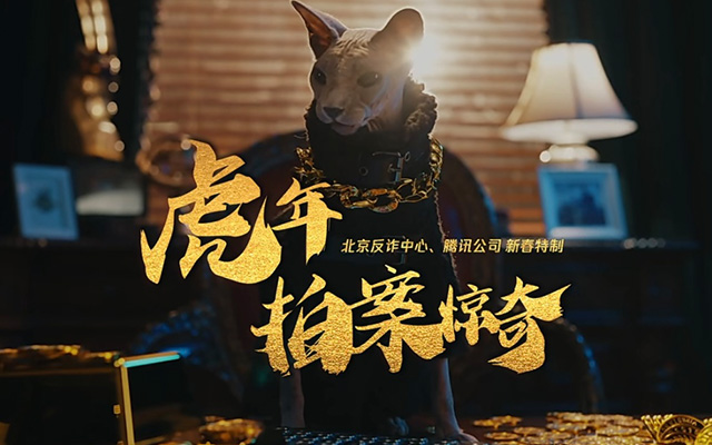北京反詐中心×騰訊：這個虎年，反詐算是被貓咪玩明白了