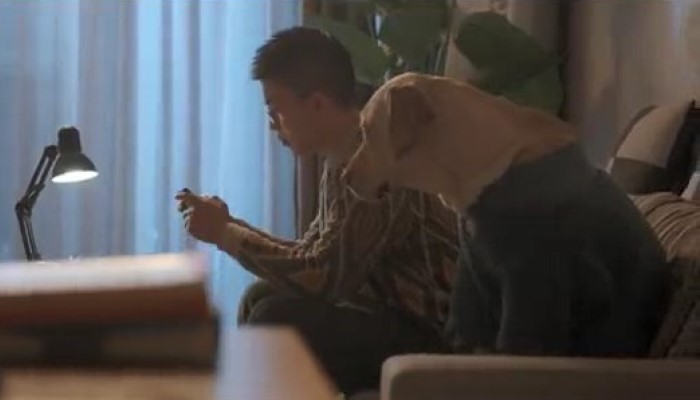 率土之濱六周年《兵與濱》，一部玩家紀錄片