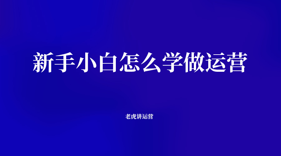 新手小白怎么学做运营