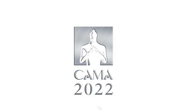 bangX斩获CAMA2022中国广告营销大奖银奖