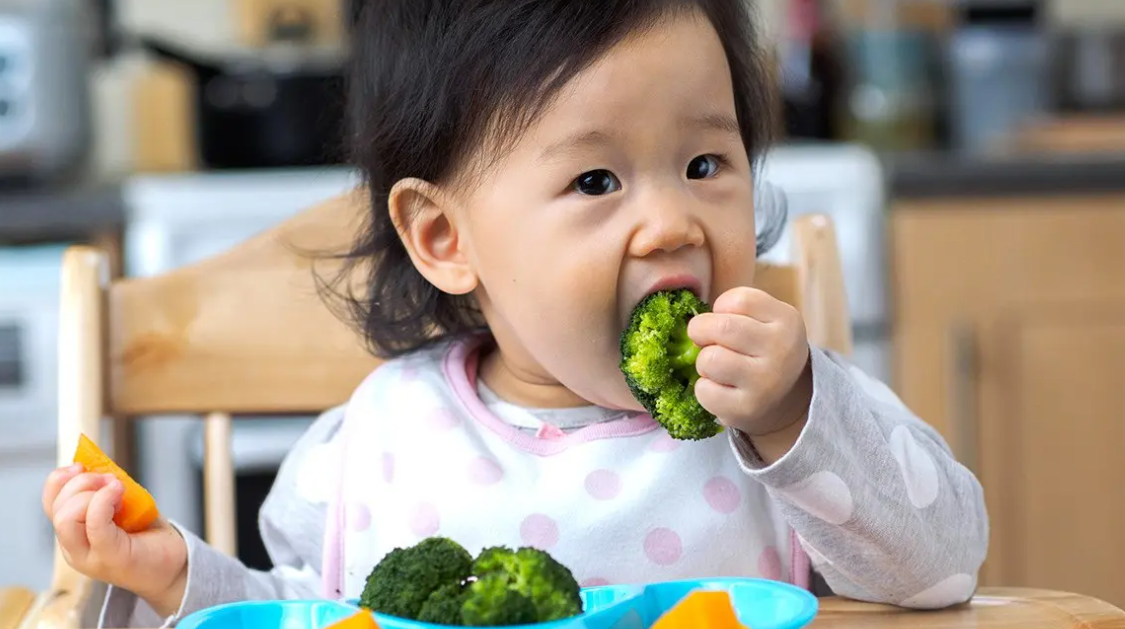 儿童合理膳食产业研究白皮书即将发布，儿童食品赛道迎来新契机？