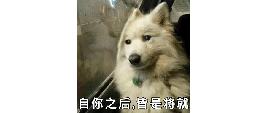 跑车应该请海清代言