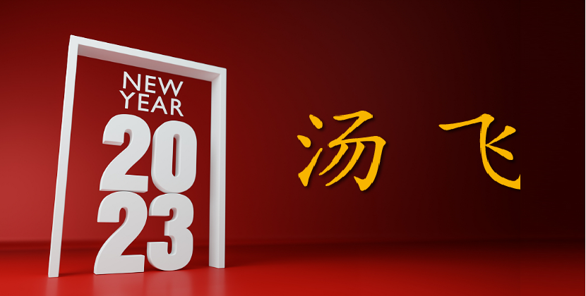 汤飞：我的11条新年感悟｜2023做英勇无畏的闯将！