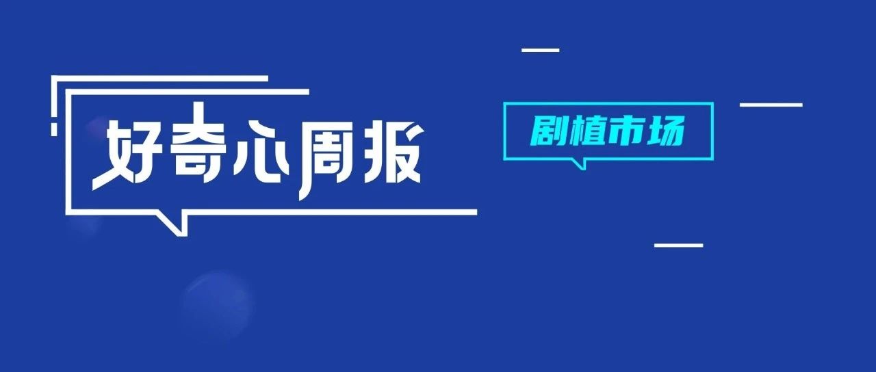 好奇心周报 | 剧植市场观察：整体回归理性，内容形式愈趋原生化